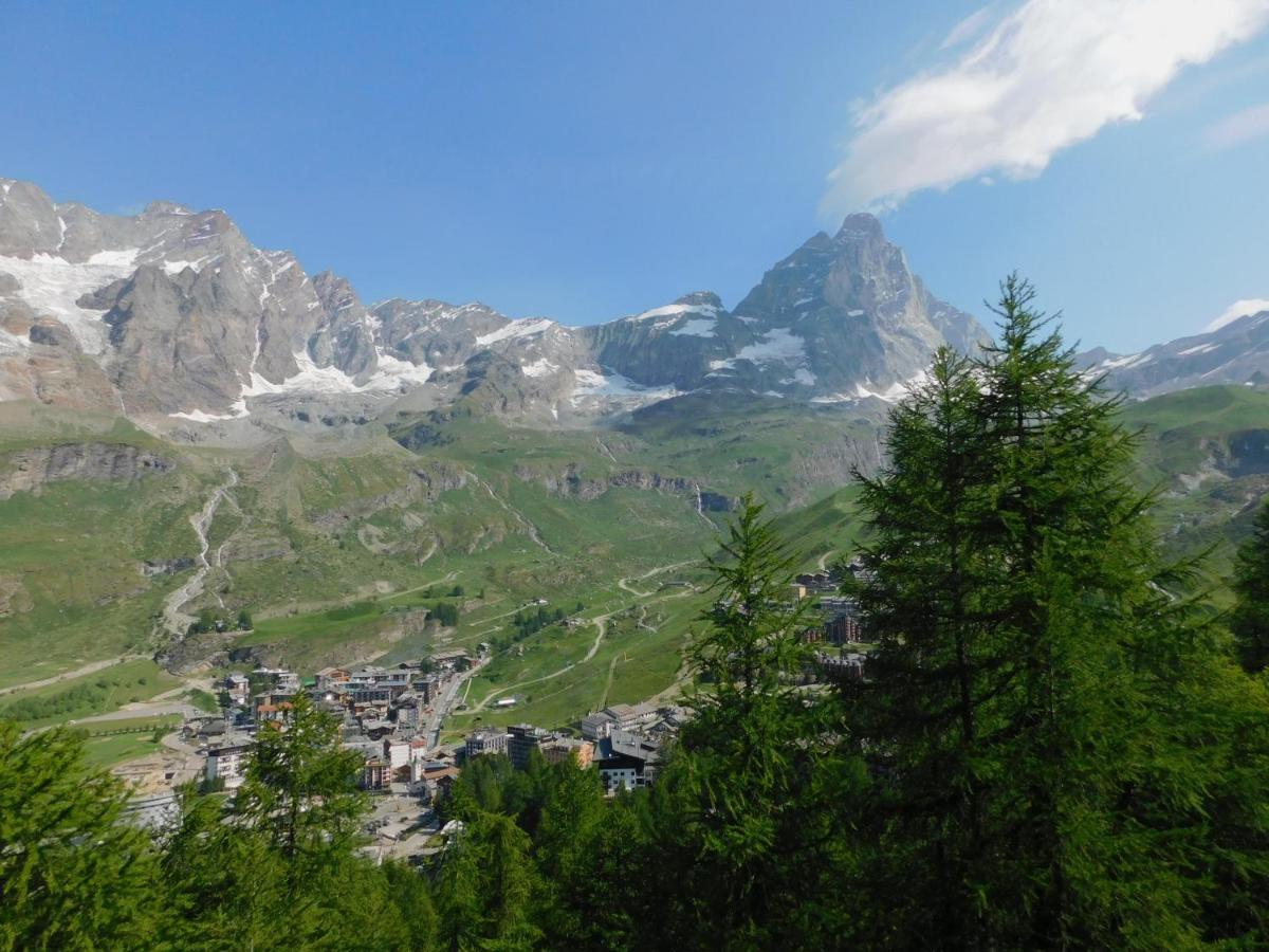 Il Gioiello Di Cervinia Apartment Breuil-Cervinia Bagian luar foto